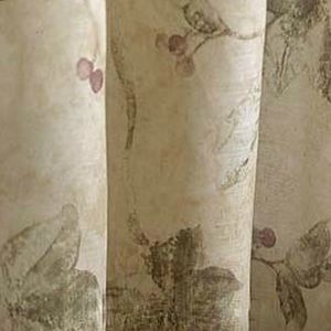 Croscill Ivy by Cheri Blum Shower Curtain & Hooks